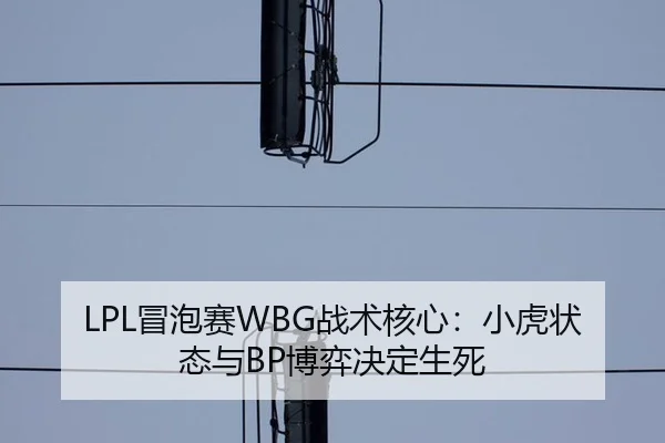 mao-pao-sai-zhan-shu-he-xin-xiao-hu-zhuang-tai-yu-bo-yi-jue-ding-sheng-si-3-840.jpg