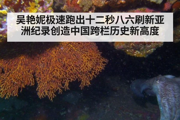吴艳妮极速跑出十二秒八六刷新亚洲纪录创造中国跨栏历史新高度